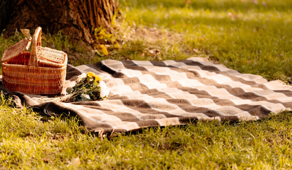 How To Make Your Next Picnic Spectacular with a great picnic blanket