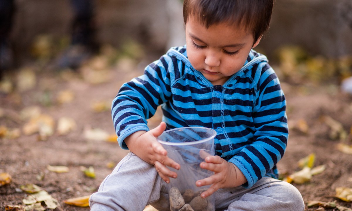 let your kid start a rock collection