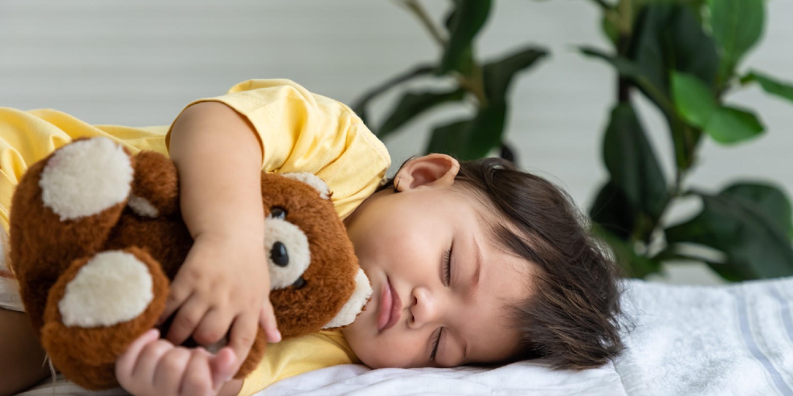 Little Asian baby girl lying down sleeping on bed at home, hugging teddy bear doll.