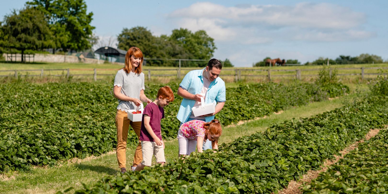 field-trip-ideas-for-kids mighty-moms Family Field Trip