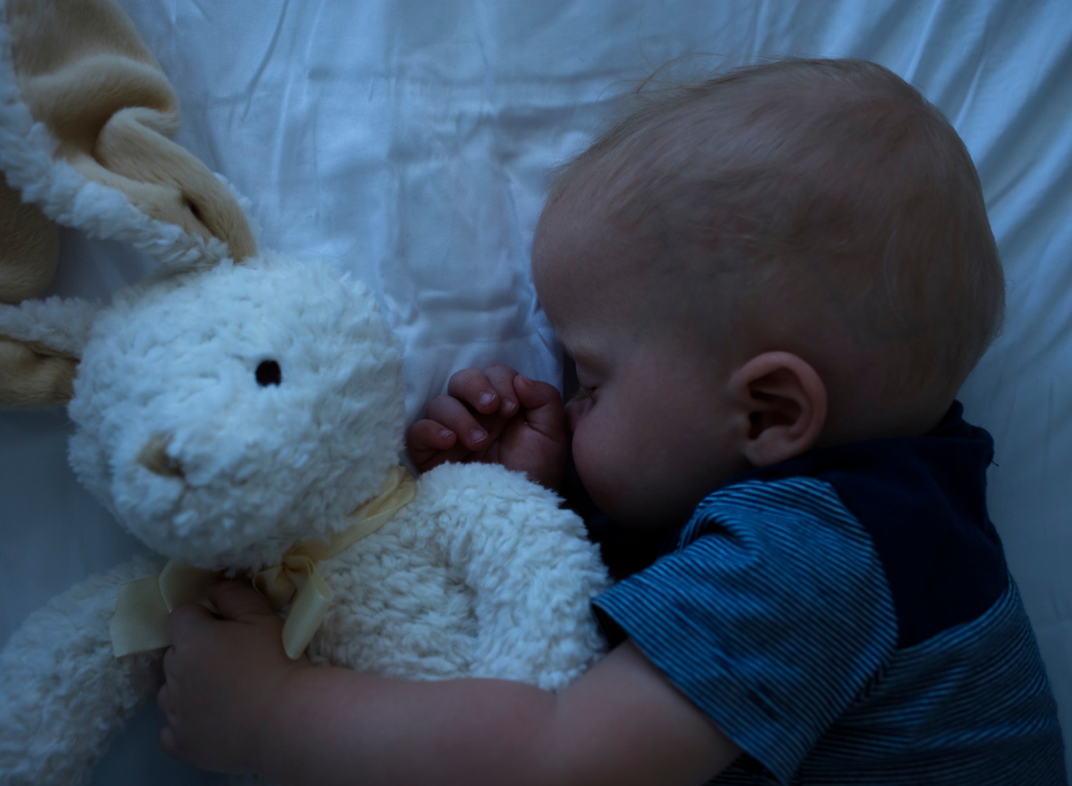 Baby sleeping with a stuffed animal