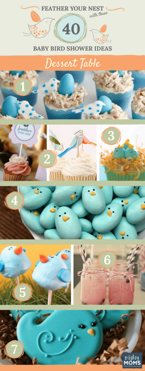 Feather Your Nest with These 40 Baby Bird Shower Ideas - MightyMoms.club