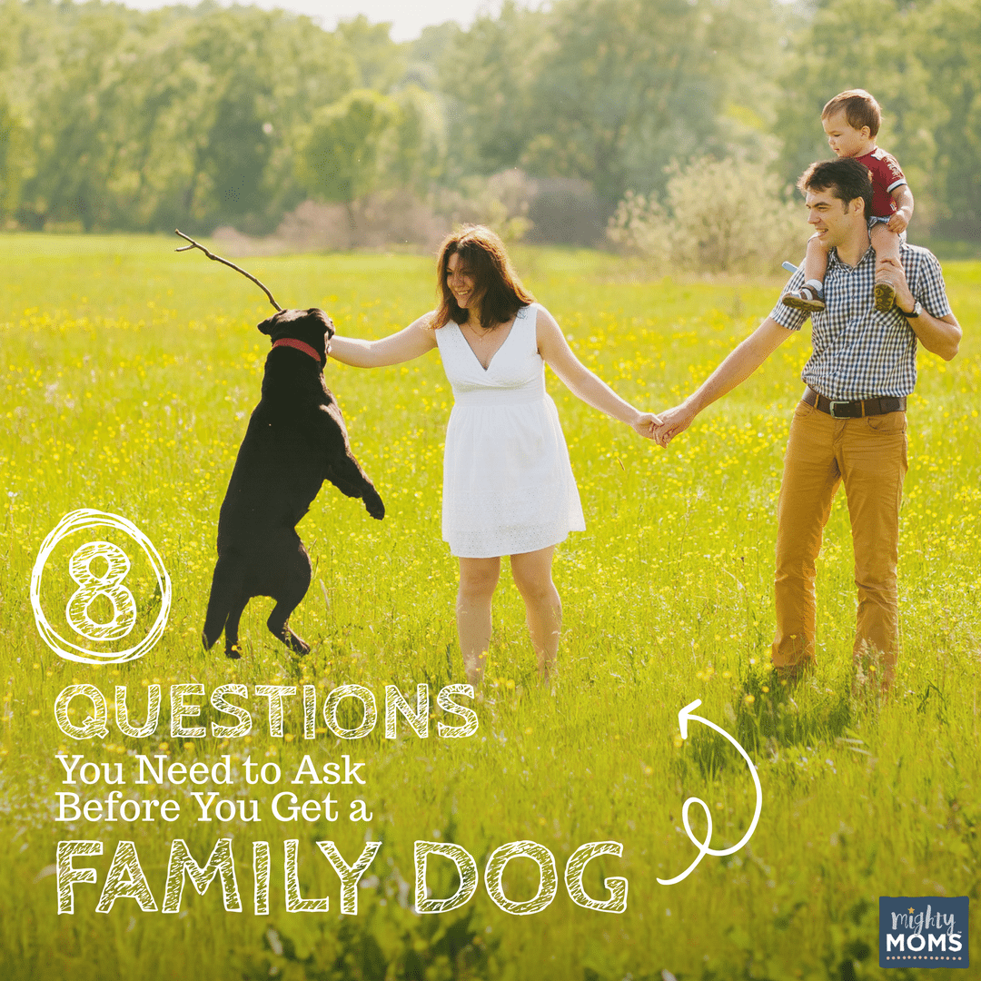 8 Questions You Need to Ask Before You Get a Family Dog - MightyMoms.club