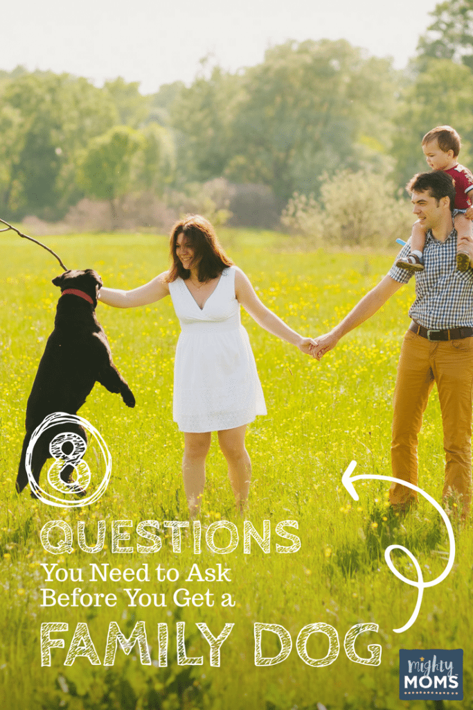 8 Questions You Need to Ask Before You Get a Family Dog - MightyMoms.club