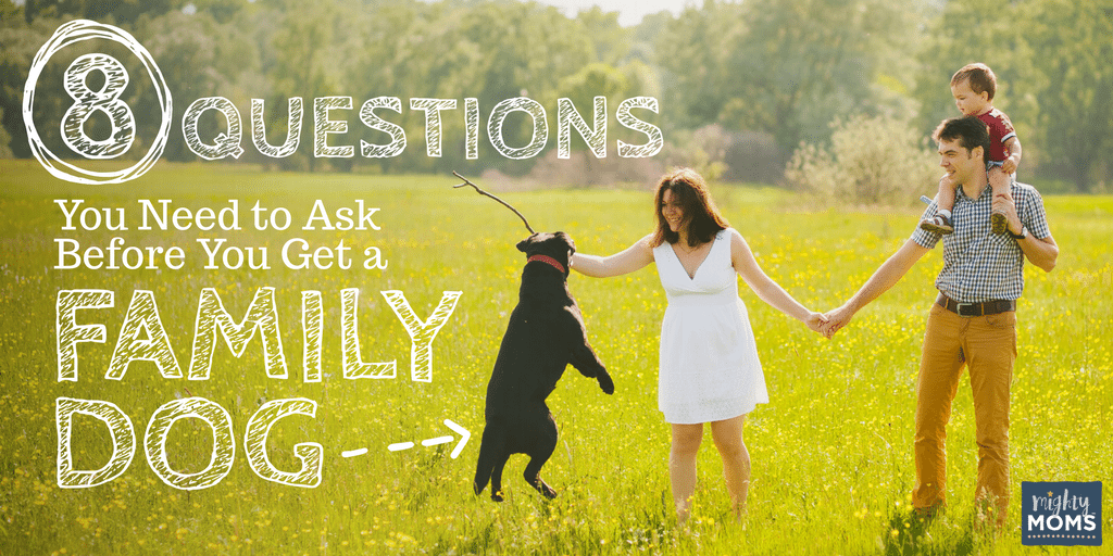 8 Questions You Need to Ask Before You Get a Family Dog - MightyMoms.club