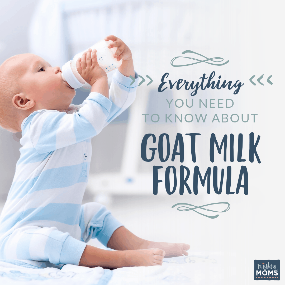 Why you should look again at goat milk formula - MightyMoms.club