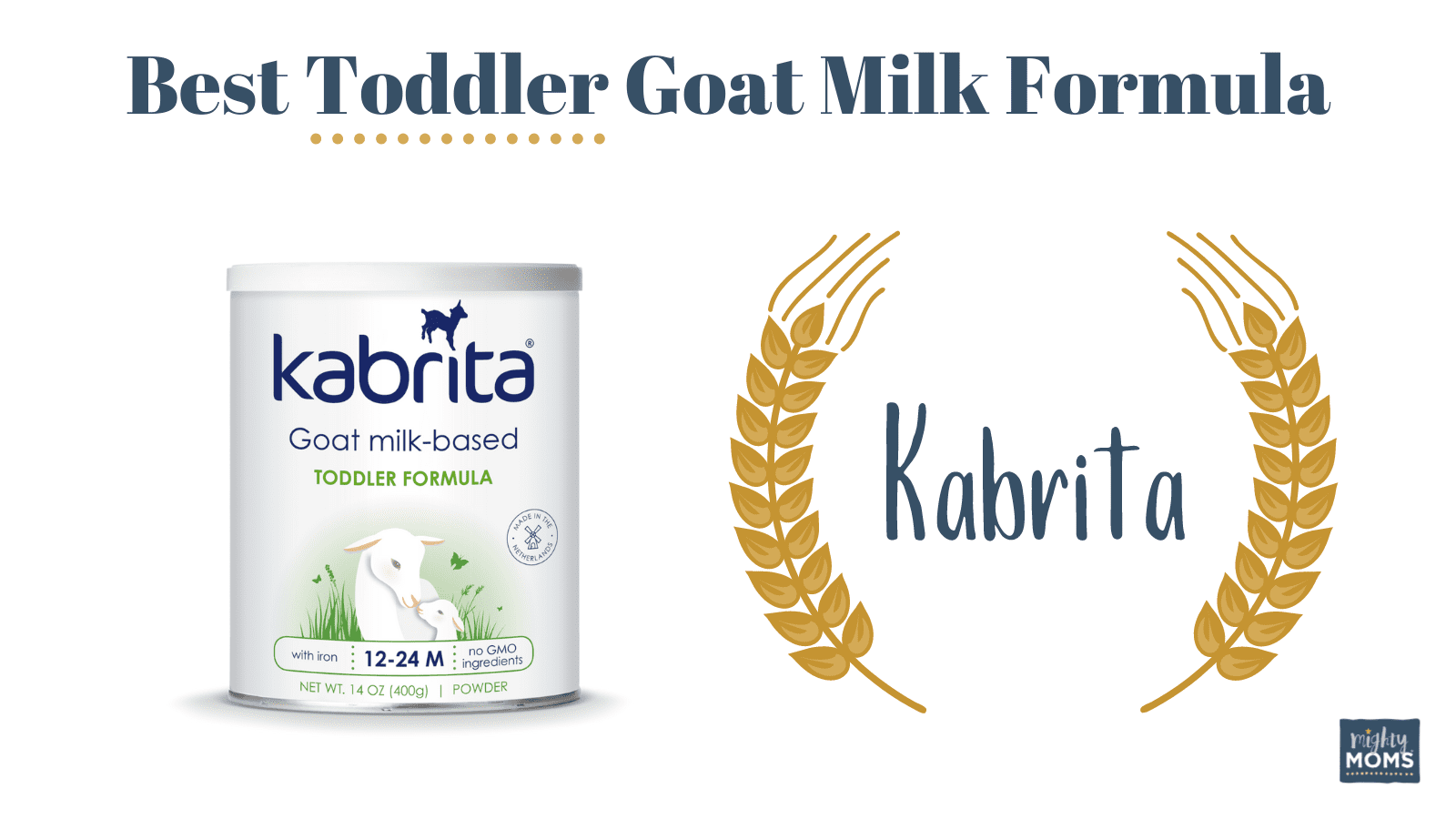 Best Goat's Milk Formula for Toddlers: Kabrita