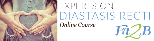 Experts on Diastasis Recti Online Course