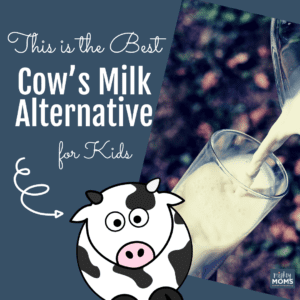 cow's milk alternative